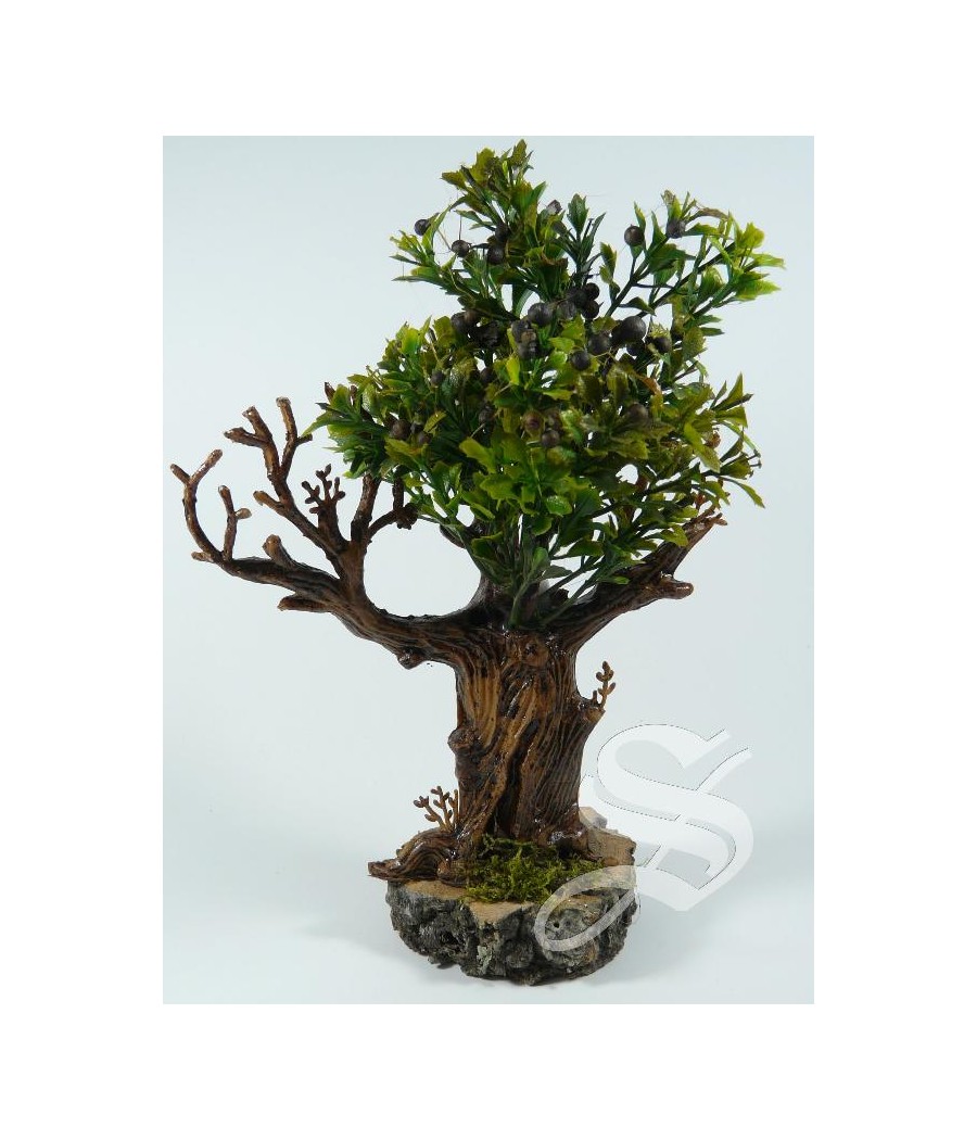 ARBOL OLIVO 16 * 10