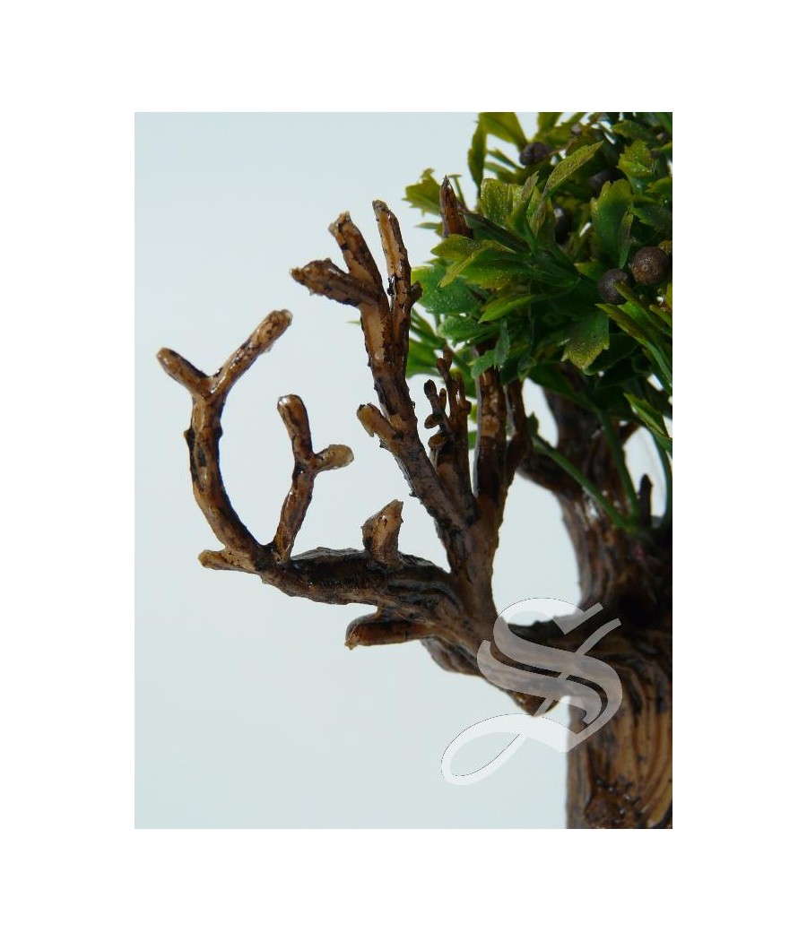 ARBOL OLIVO 16 * 10