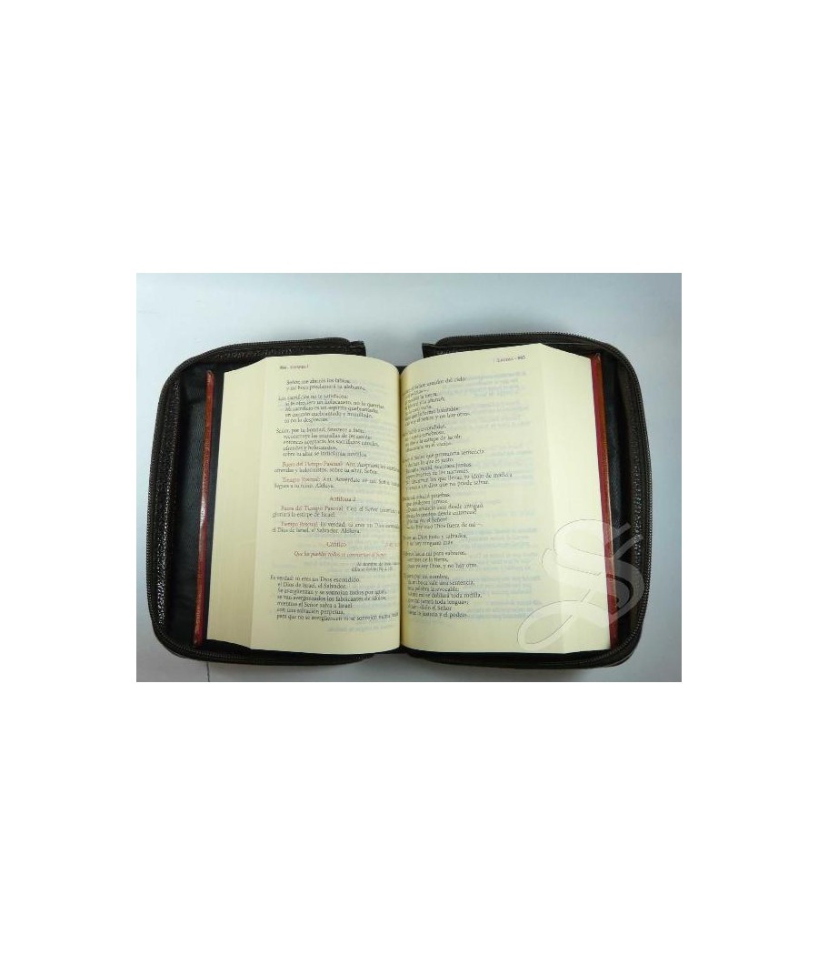 FUNDA LITURGICA DE HORAS. DIURNAL MARRON