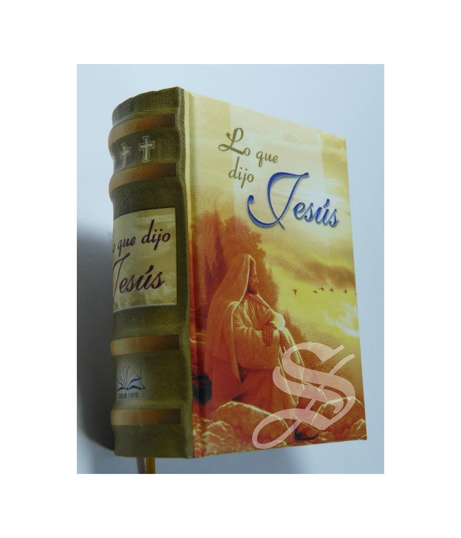 LO QUE DIJO JESUS - LIBROS MAS PEQUEÑOS