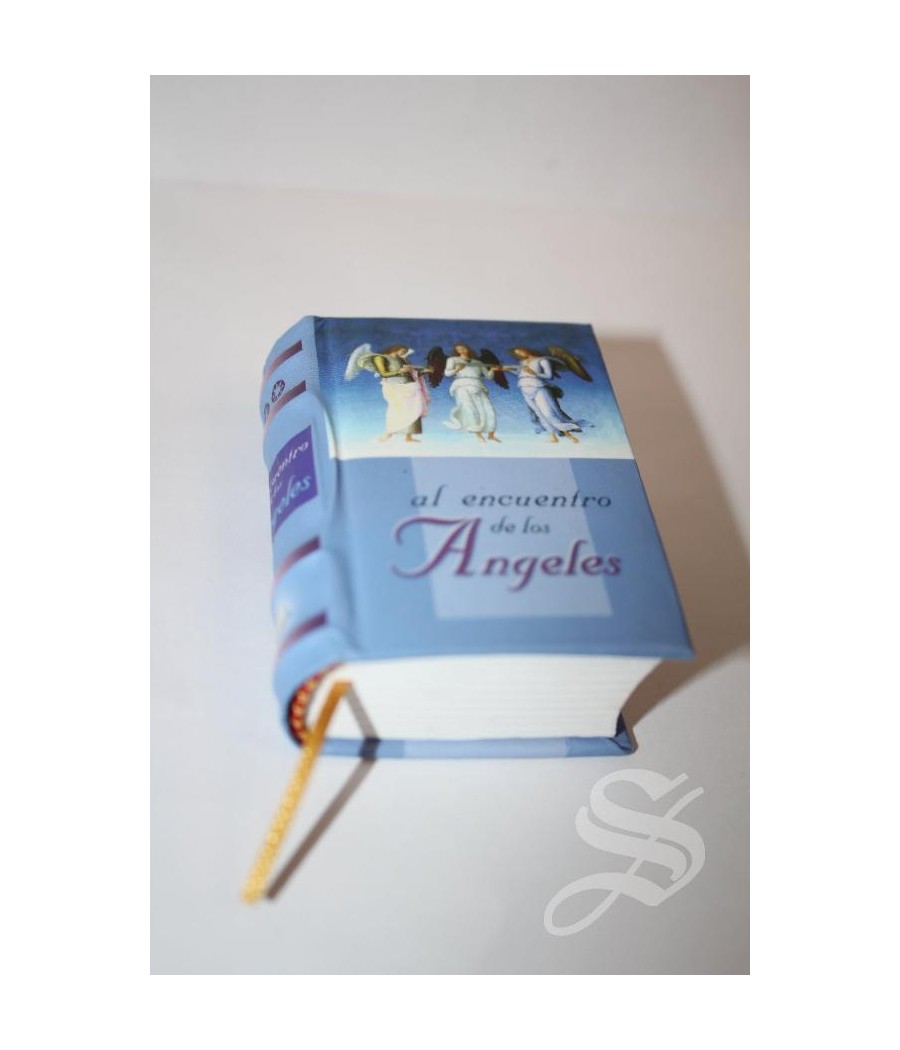 AL ENCUENTRO DE LOS ANGELES