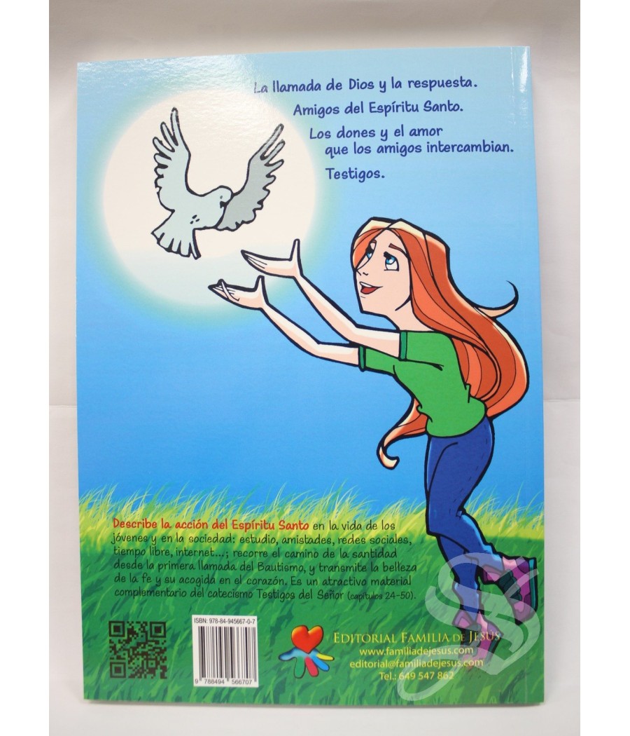 AMIGOS DEL ESPIRITU SANTO CATEQUESIS CONFIRMACION 2