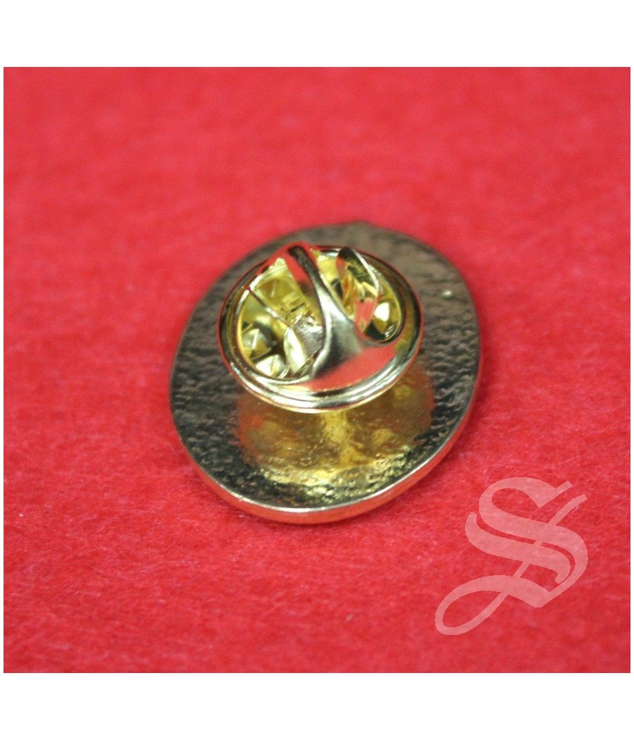 PIN VIRGEN DEL CARMEN ESCUDO DE HABITO 17 X 22 MM